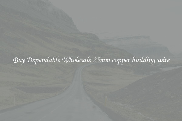 Buy Dependable Wholesale 25mm copper building wire