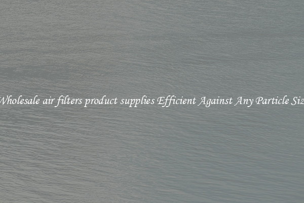Wholesale air filters product supplies Efficient Against Any Particle Size