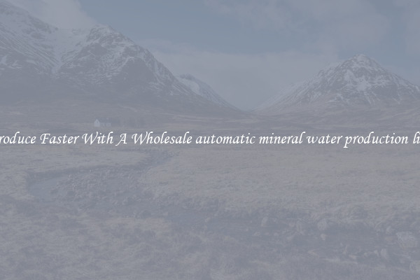 Produce Faster With A Wholesale automatic mineral water production line