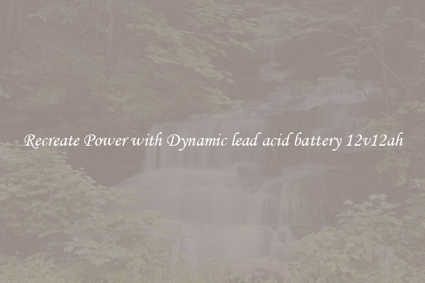 Recreate Power with Dynamic lead acid battery 12v12ah