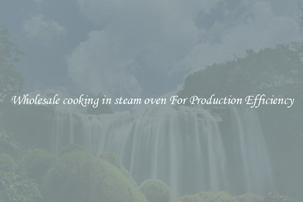 Wholesale cooking in steam oven For Production Efficiency