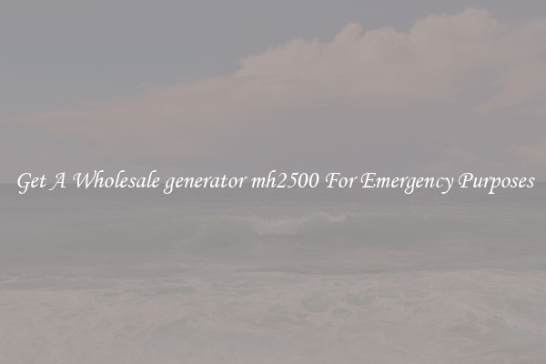 Get A Wholesale generator mh2500 For Emergency Purposes
