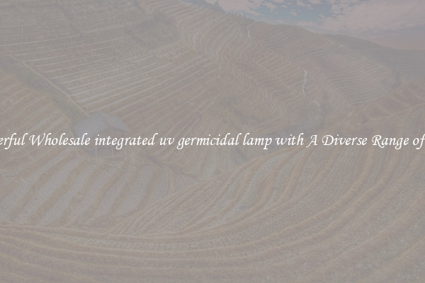 Powerful Wholesale integrated uv germicidal lamp with A Diverse Range of Uses