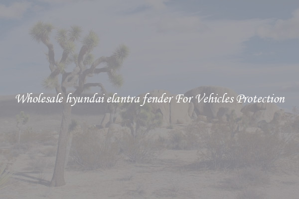 Wholesale hyundai elantra fender For Vehicles Protection