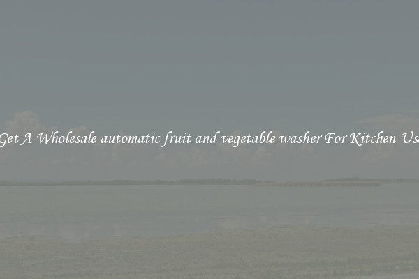 Get A Wholesale automatic fruit and vegetable washer For Kitchen Use
