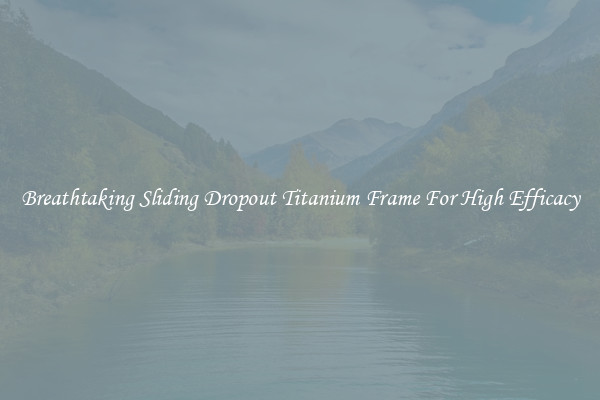 Breathtaking Sliding Dropout Titanium Frame For High Efficacy