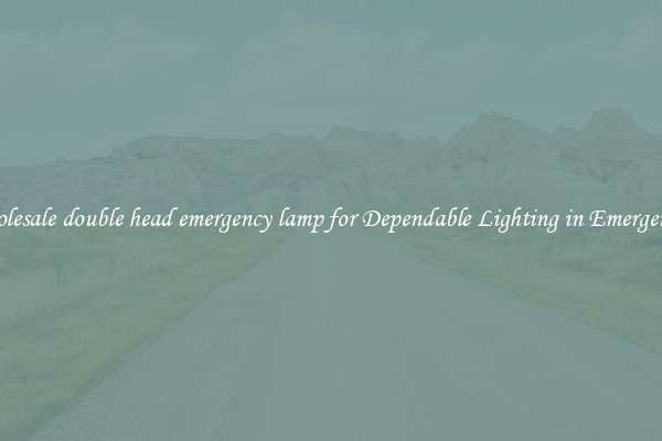 Wholesale double head emergency lamp for Dependable Lighting in Emergencies