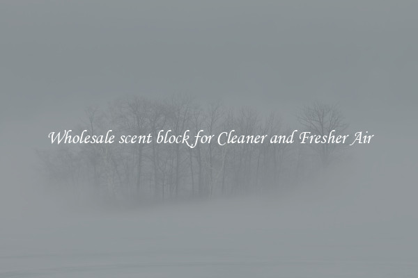 Wholesale scent block for Cleaner and Fresher Air