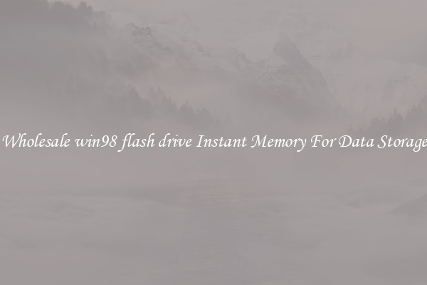 Wholesale win98 flash drive Instant Memory For Data Storage
