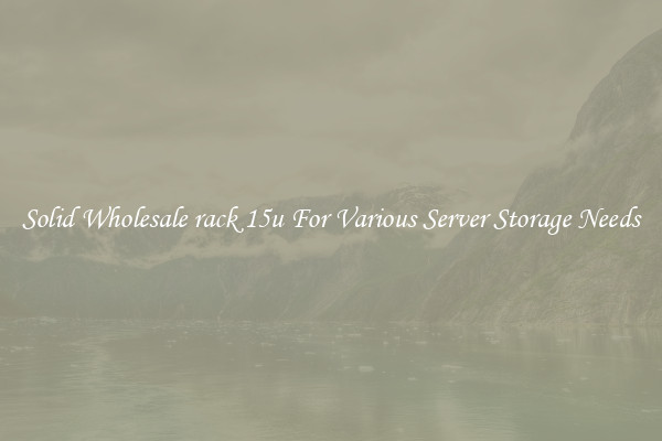 Solid Wholesale rack 15u For Various Server Storage Needs