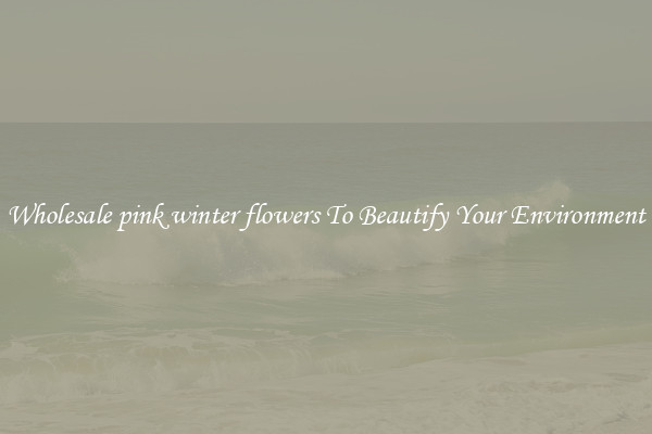 Wholesale pink winter flowers To Beautify Your Environment