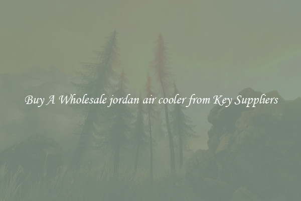 Buy A Wholesale jordan air cooler from Key Suppliers