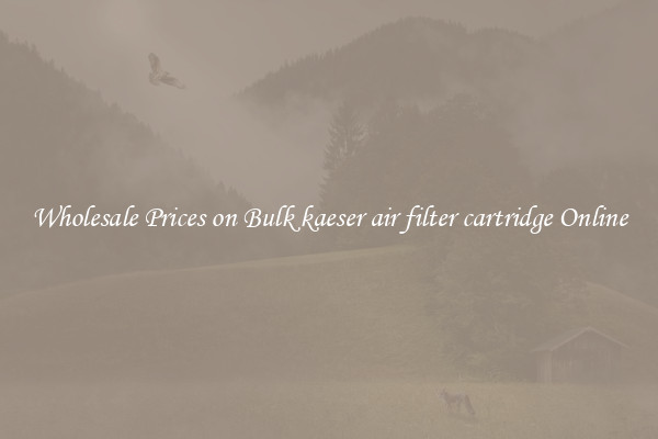 Wholesale Prices on Bulk kaeser air filter cartridge Online