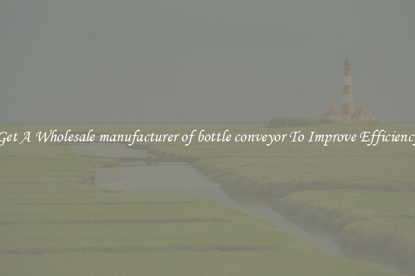 Get A Wholesale manufacturer of bottle conveyor To Improve Efficiency