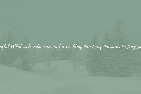 Powerful Wholesale video camera for wedding For Crisp Pictures In Any Setting