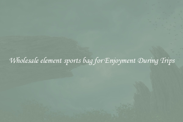 Wholesale element sports bag for Enjoyment During Trips