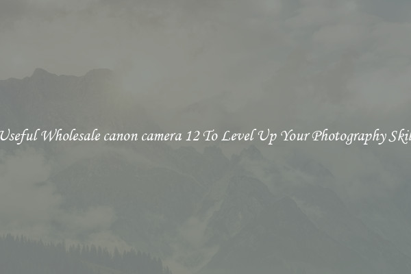 Useful Wholesale canon camera 12 To Level Up Your Photography Skill