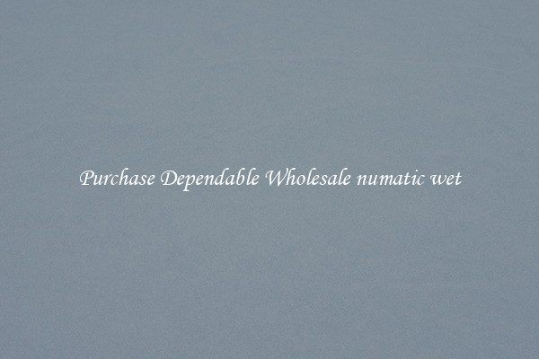 Purchase Dependable Wholesale numatic wet