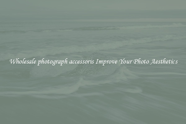 Wholesale photograph accessoris Improve Your Photo Aesthetics